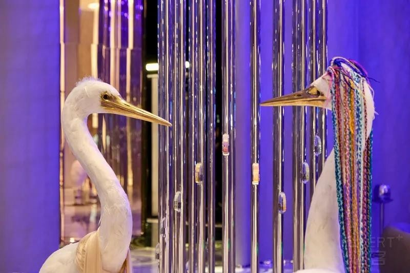 德国精工GKKBO花洒，洗澡新体验